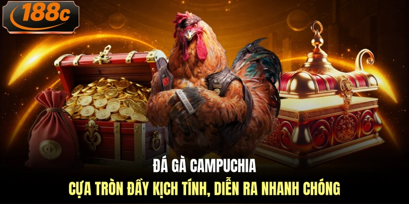Đá gà Campuchia cựa tròn đầy kịch tính, diễn ra nhanh chóng