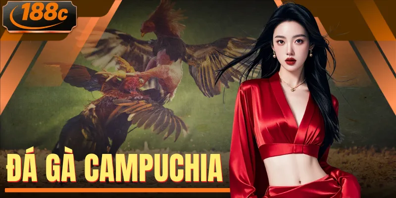 Theo Dõi Đá Gà Campuchia Sắc Nét Full HD Săn Thưởng Hấp Dẫn