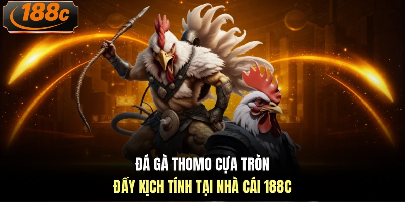 Đá gà Thomo cựa tròn đầy kịch tính tại nhà cái 188c