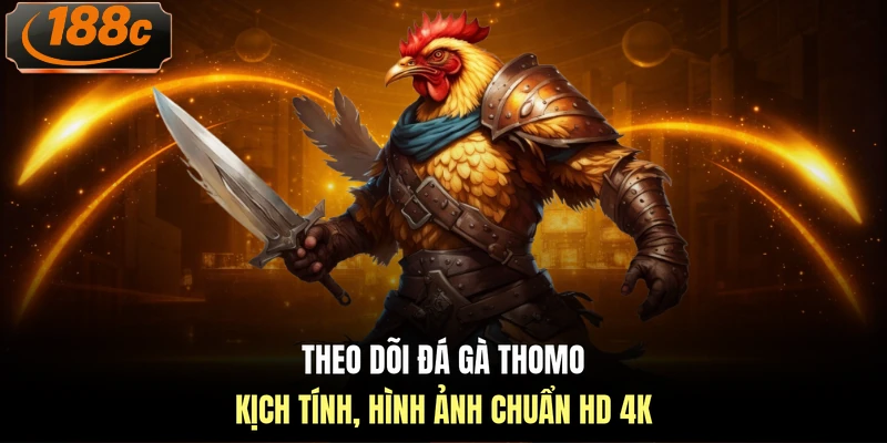 Theo dõi đá gà Thomo kịch tính, hình ảnh chuẩn HD 4K