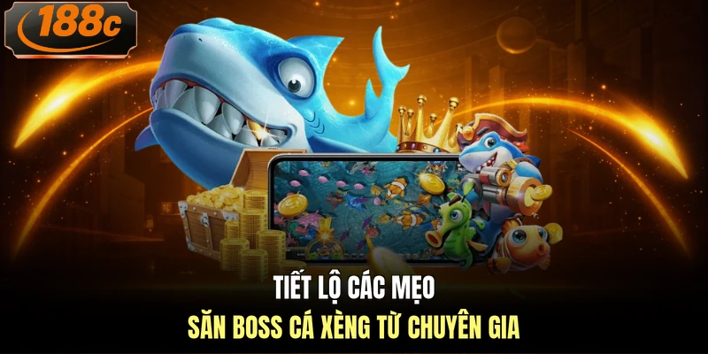 Tiết lộ các mẹo săn boss cá xèng từ chuyên gia